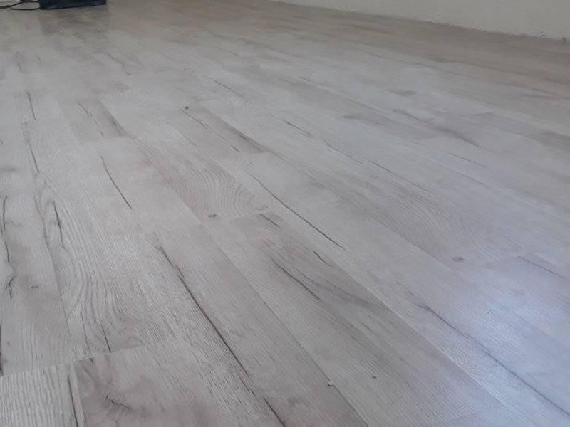 Koleksiyon Görseli